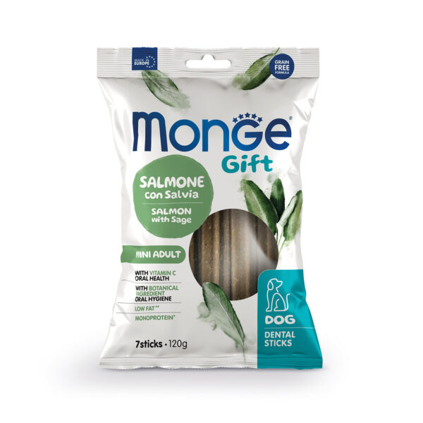 MONGE Gift Dental Salmon & Sage 120g
