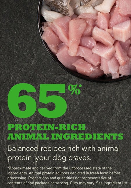 NS-ACANA-Dog-Ingredients-SENIOR-556×800