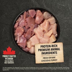 ACANA Classics Bowl Image Prairie Poultry Recipe Canada English EMEA APAC
